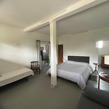 Antica Vigna Bed & Breakfast คิออกเจีย ภายนอก รูปภาพ