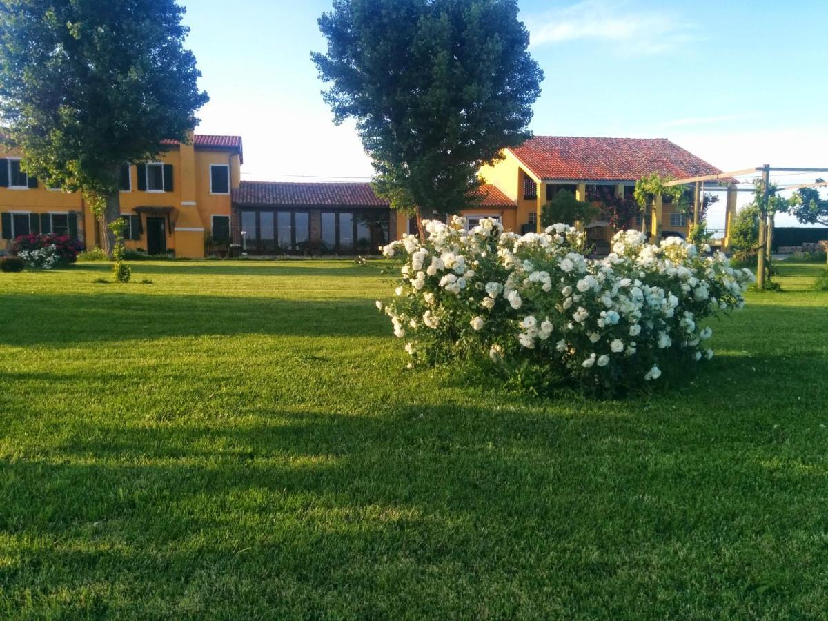 Antica Vigna Bed & Breakfast คิออกเจีย ภายนอก รูปภาพ